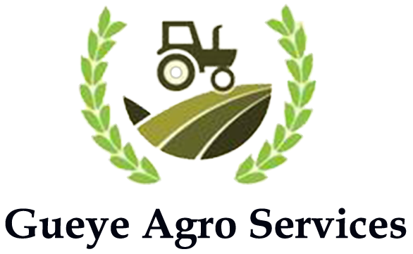 Gueye Agro services